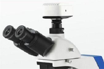 BK6000实验室生物显微镜 专业教学与临床化验的理想之选